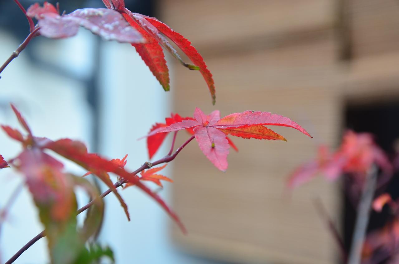 Hotel Miyabi Cosy House Kioto Zewnętrze zdjęcie